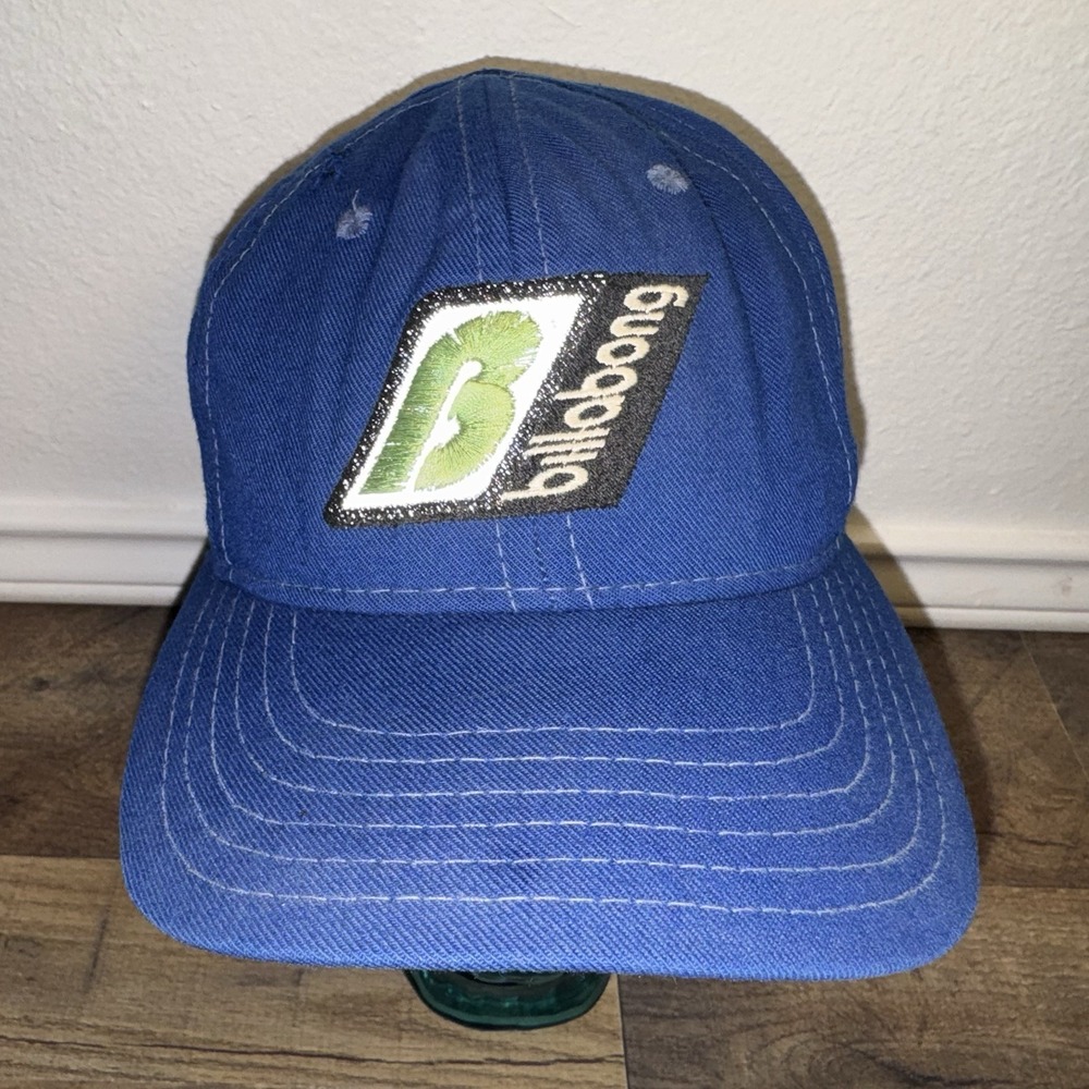 Vintage Y2K Billabong Cap Blue SnapBack